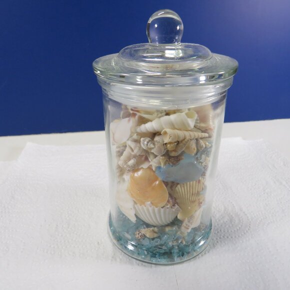 REAL sea shells in a New Glass Jar w seal & lid 5.75" tall (1+ pounds) - Picture 8 of 14